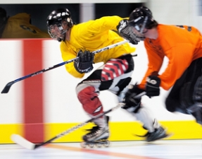 Program Adult Dek Hockey Leagues