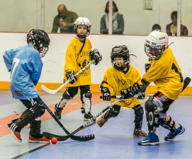 Program Youth Dek Hockey League