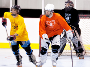 Program Adult Roller Hockey Leagues