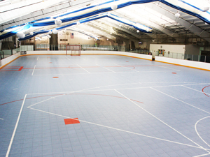 Program Rink and Court Rentals