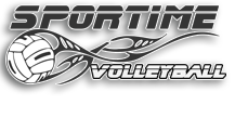 Volleyball Logo